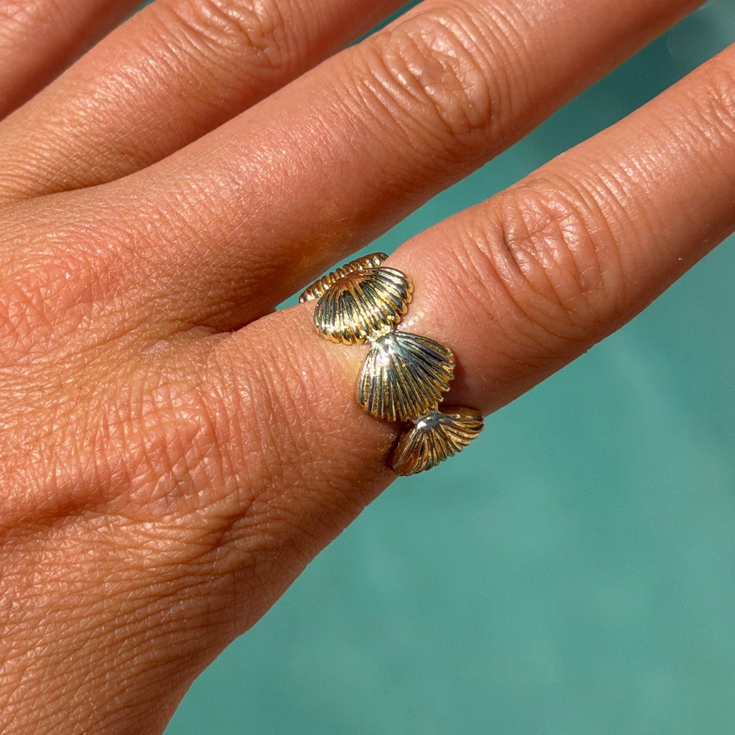Sally Sells Ring