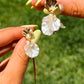 Sea Bloom Earring Set